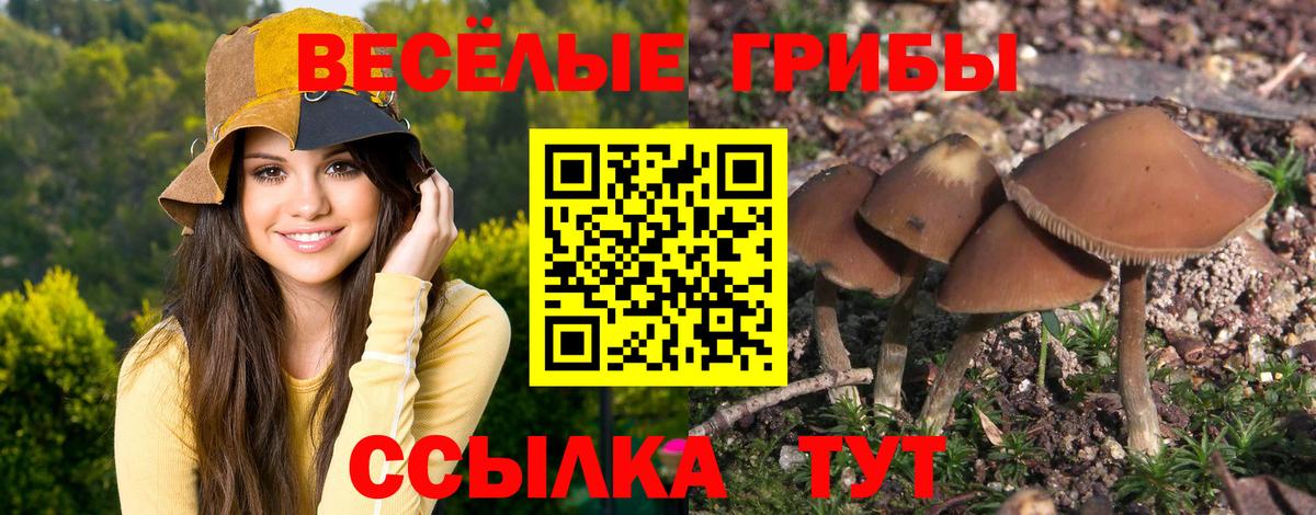 Псилоцибиновые грибы прущие грибы  Вход с VPN  Нальчик 